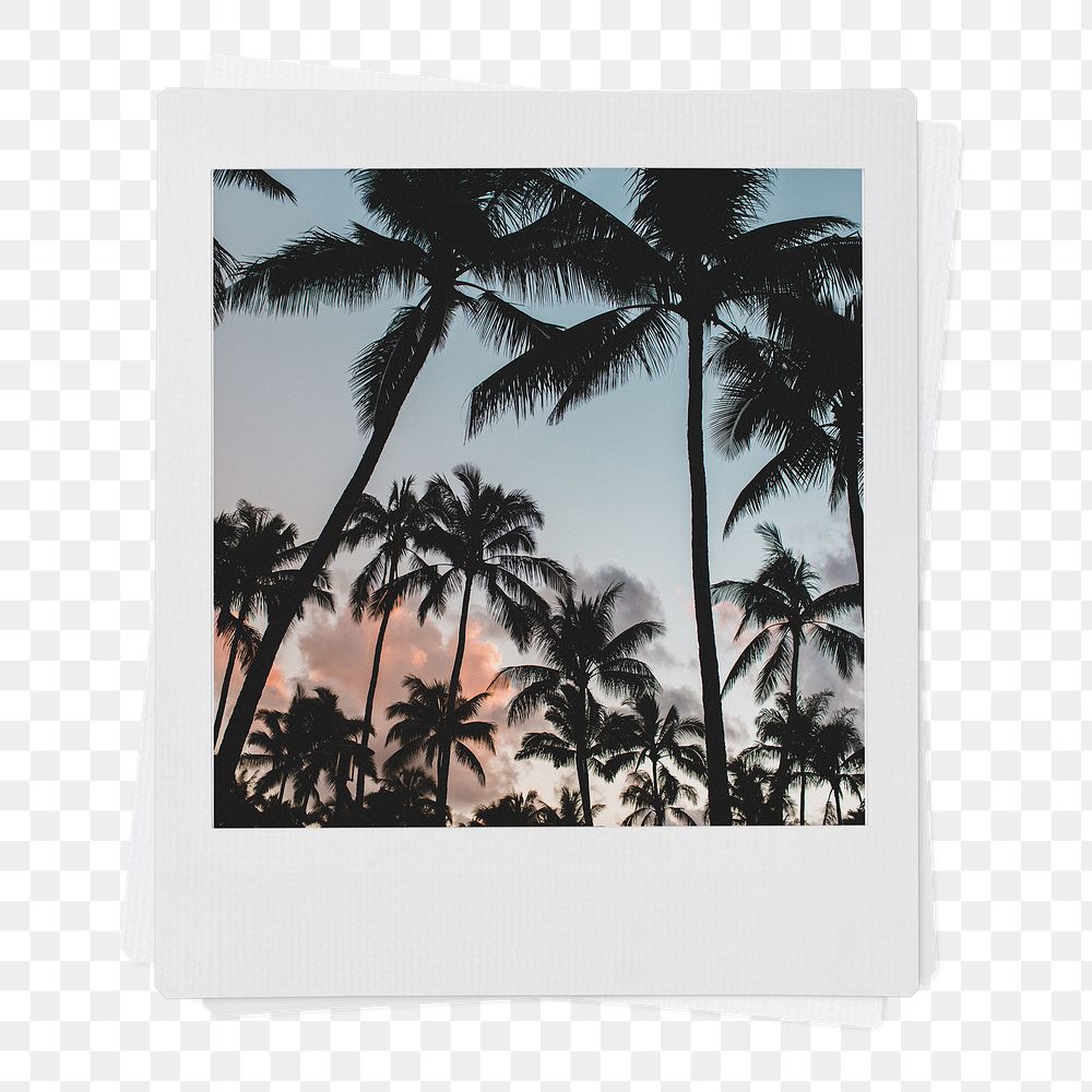 Summer trees aesthetic png, instant photo film on transparent background