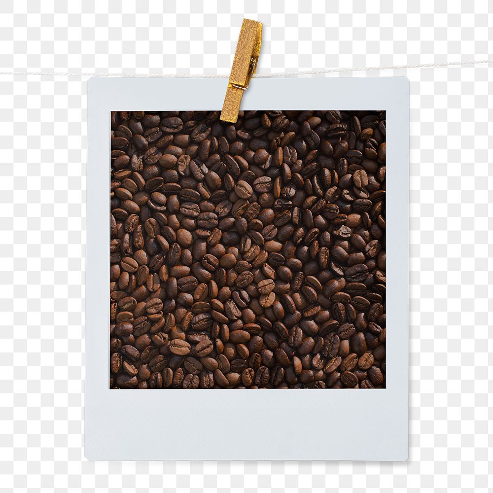 Organic coffee bean png sticker, instant photo on transparent background