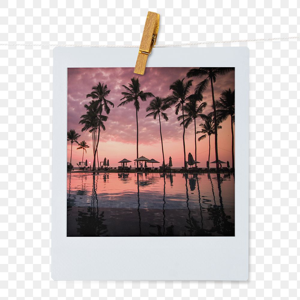 Summer sunset png sticker, palm trees aesthetic instant photo film on transparent background