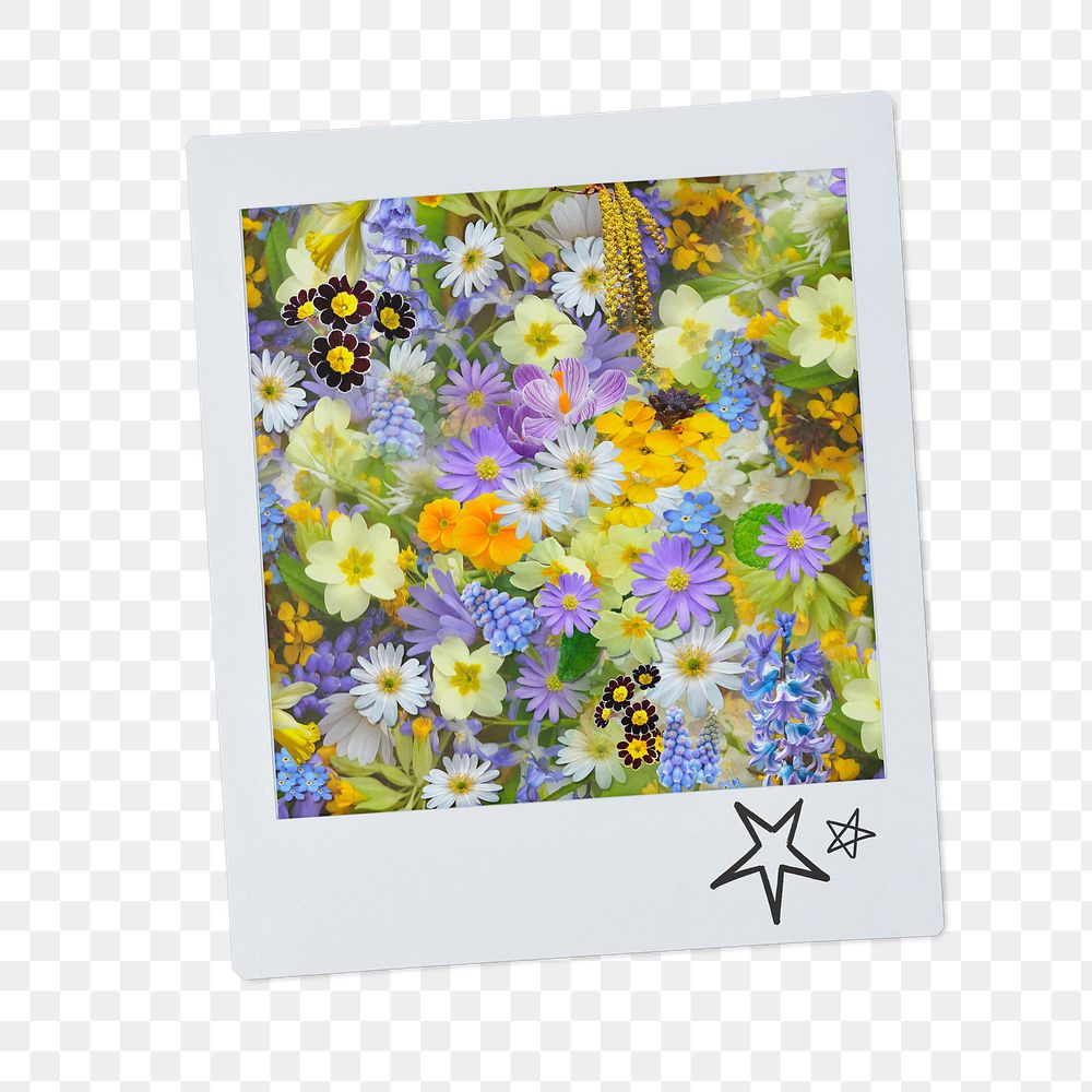 Spring flowers png sticker, aesthetic instant photo on transparent background