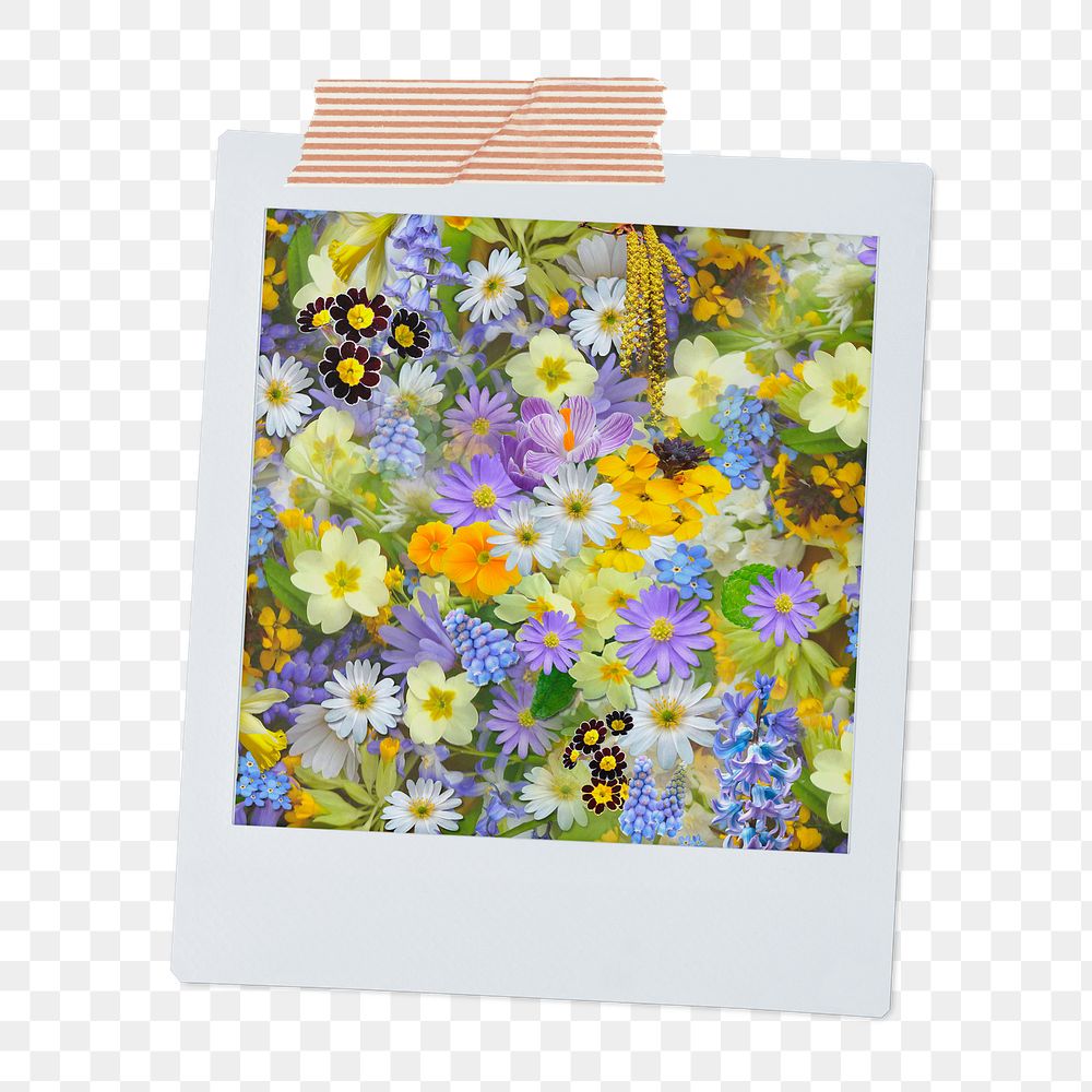 Spring flowers png sticker, aesthetic instant photo on transparent background