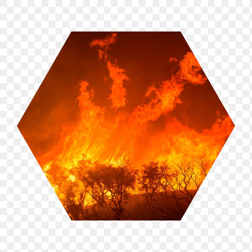 Wildfire png badge sticker, global warming, climate change photo in hexagon shape, transparent background