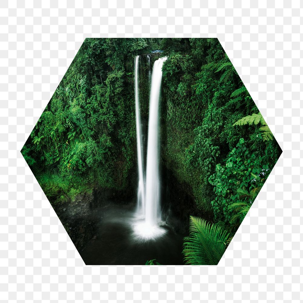 Beautiful waterfall png badge sticker, nature photo in hexagon shape, transparent background