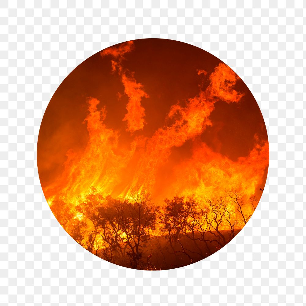 Wildfire png badge sticker, global warming, climate change photo, transparent background