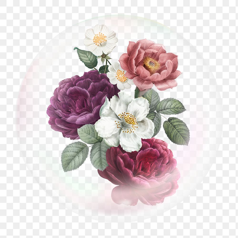 Rose png sticker, flowers in bubble, Spring concept art, transparent background