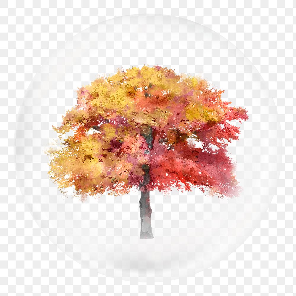 Autumn tree png sticker, watercolor nature illustration in bubble, transparent background