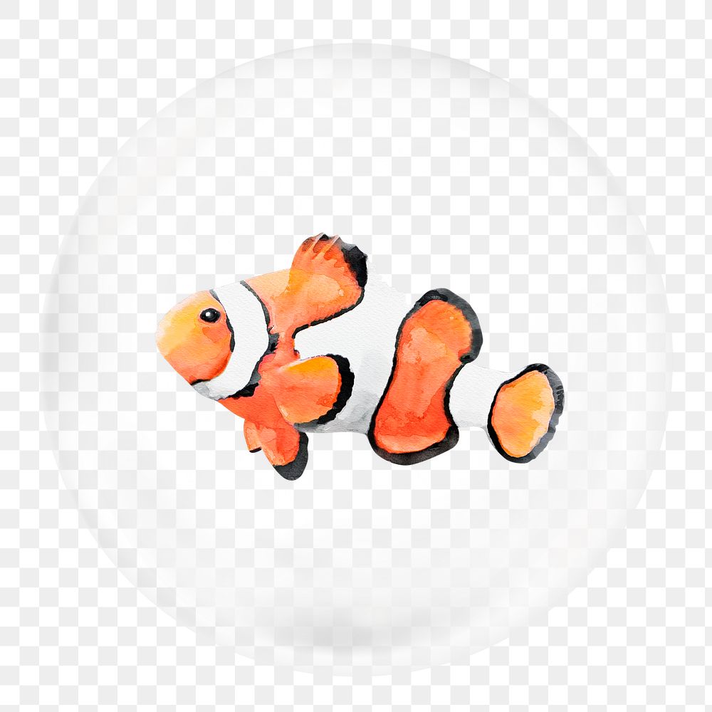 Clownfish png sticker, watercolor animal in bubble, transparent background