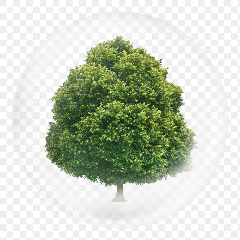 Png tree in bubble sticker, nature concept art, transparent background