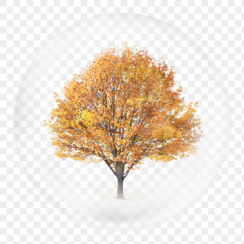 Autumn tree png sticker, watercolor nature illustration in bubble, transparent background