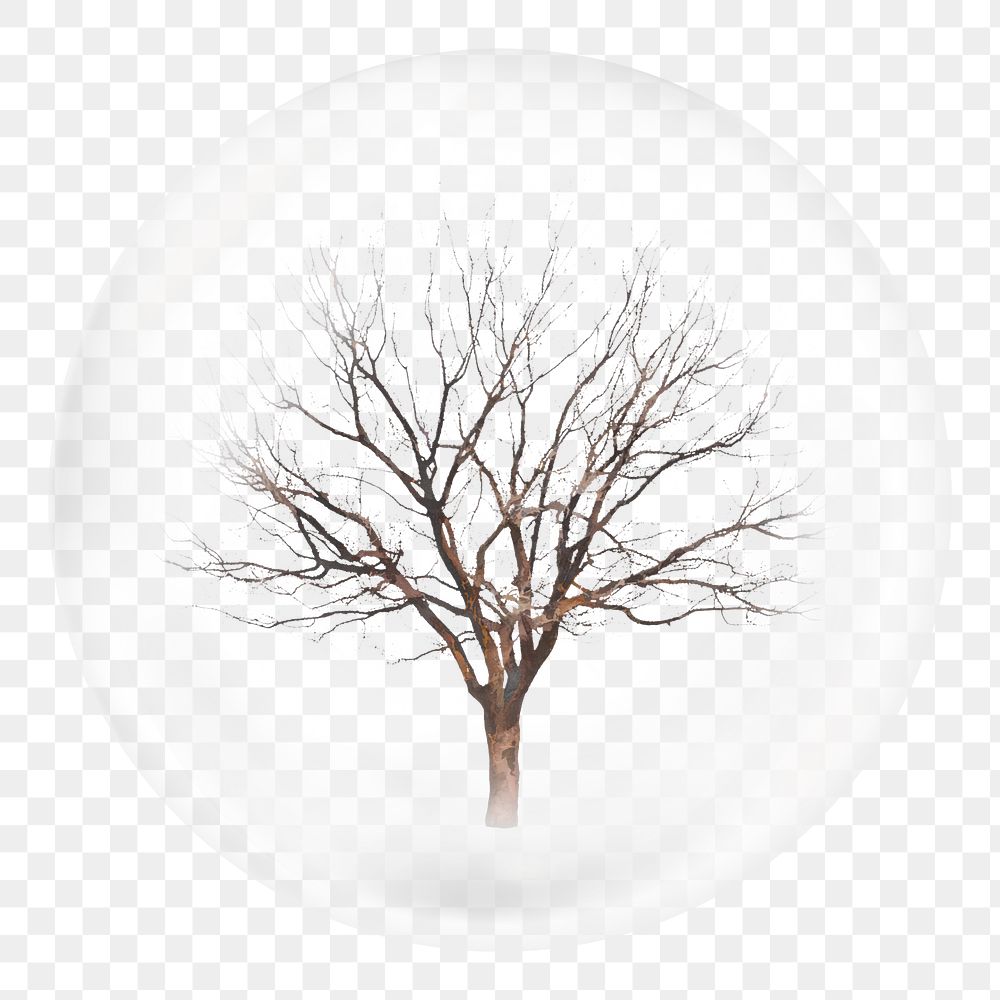 Leafless tree png bubble sticker, Autumn concept art, transparent background