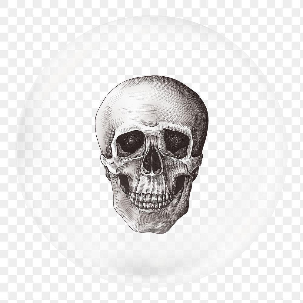Human skull png sticker, vintage Halloween in bubble, transparent background