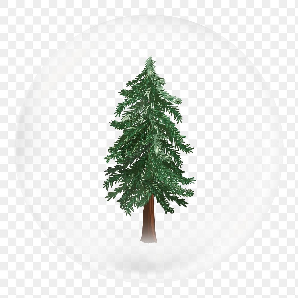 Christmas tree png bubble sticker, nature concept art, transparent background