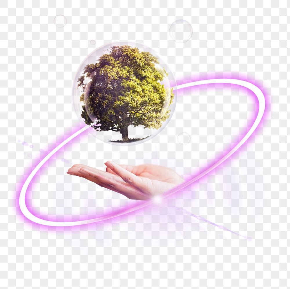 PNG tree in a bubble, reforestation technology digital sticker in transparent background