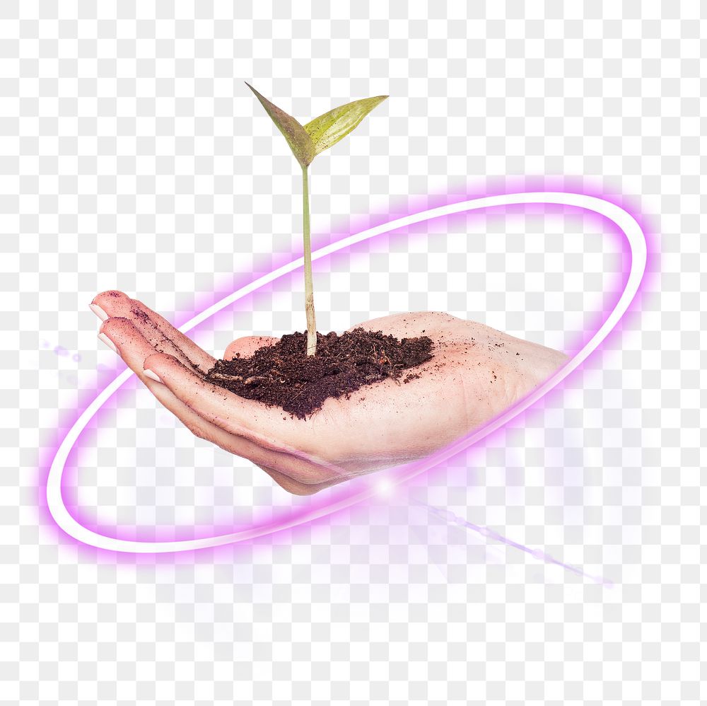 Digital sapling plant png, agriculture technology cut out in transparent background