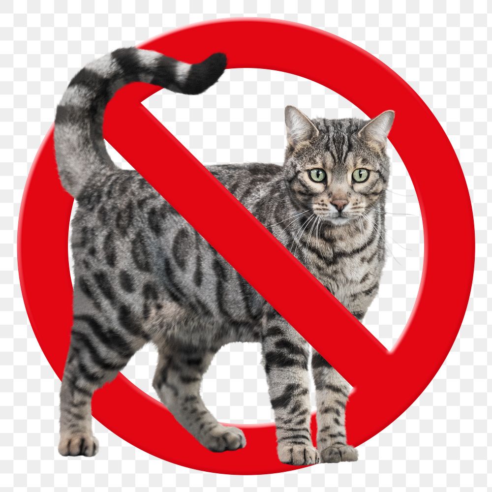 No pet png sticker, forbidden sign on transparent background