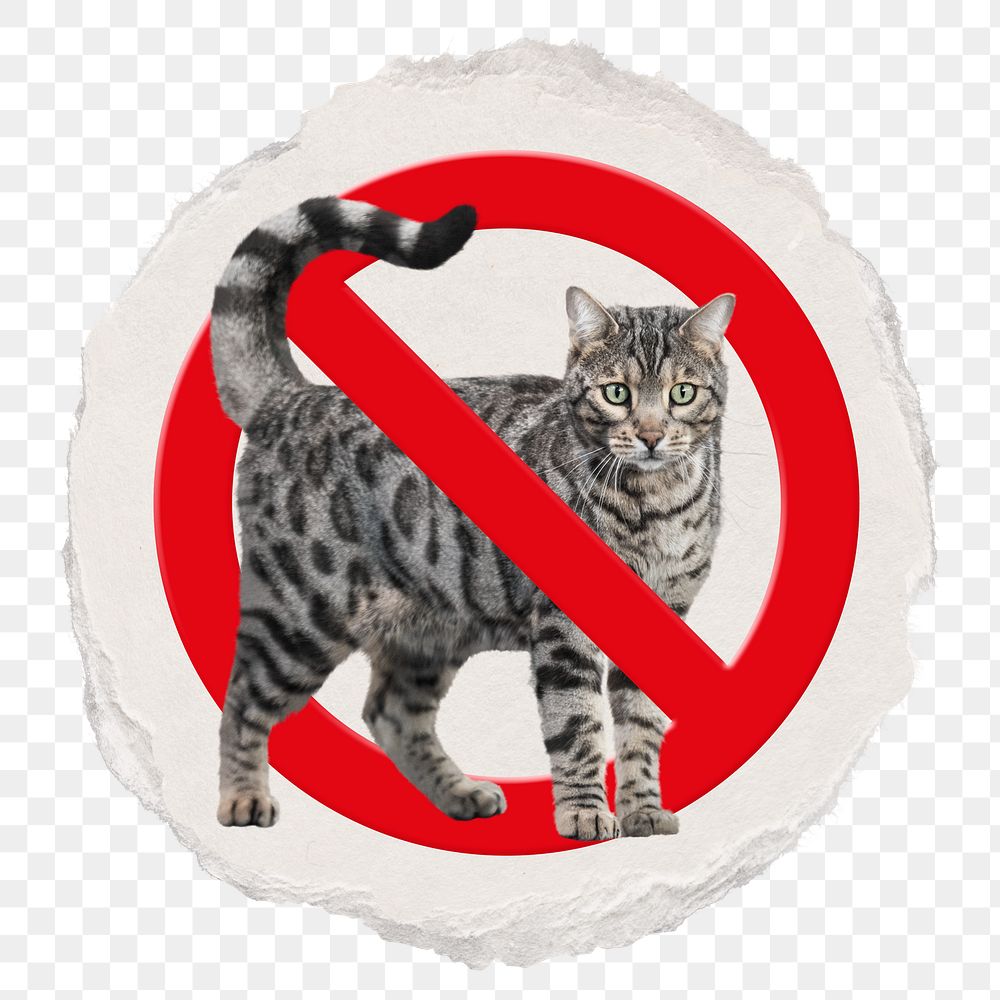 No pet png sticker, forbidden sign on transparent background, ripped paper badge