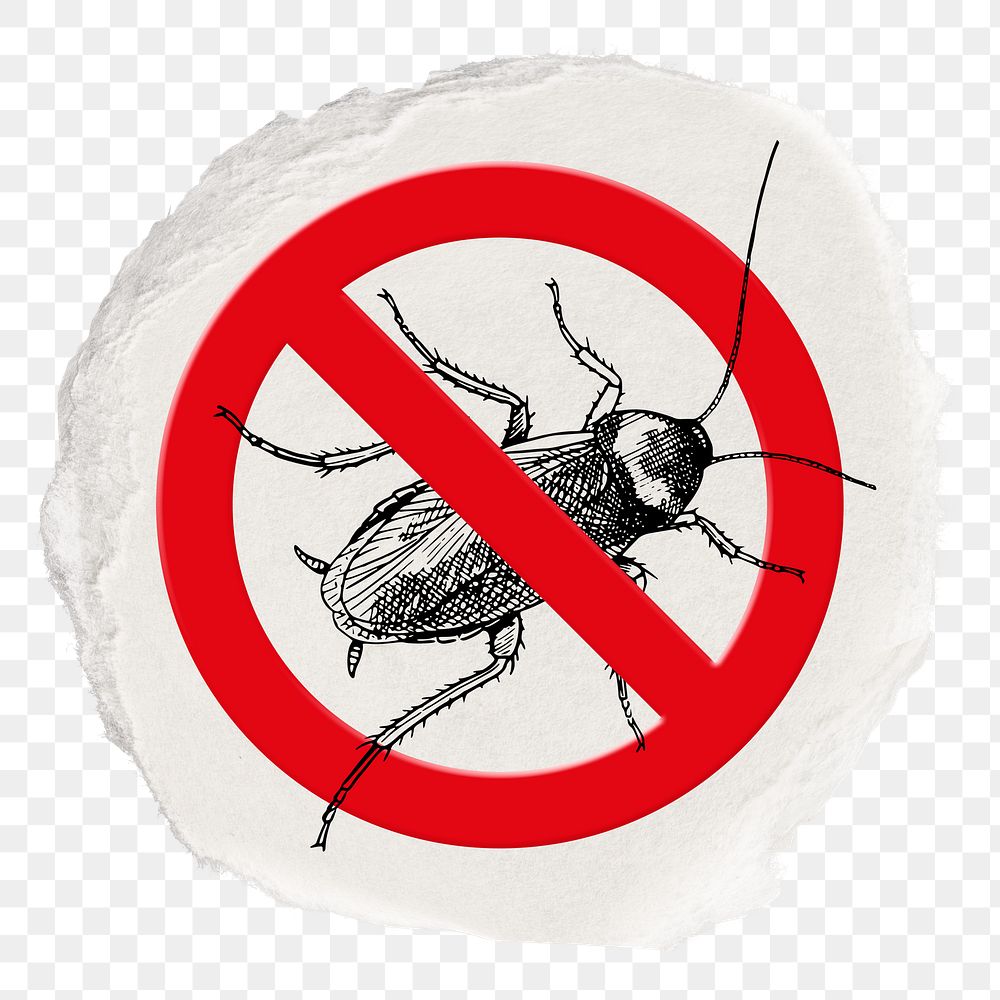 No cockroach png symbol, forbidden sign on transparent background, ripped paper badge
