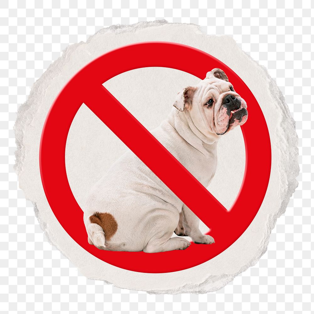 No pet png symbol, forbidden sign on transparent background, ripped paper badge