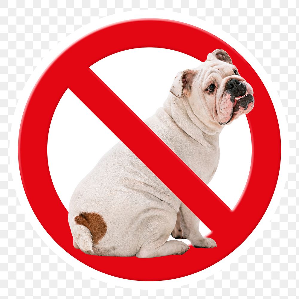 No pet png symbol, forbidden sign on transparent background