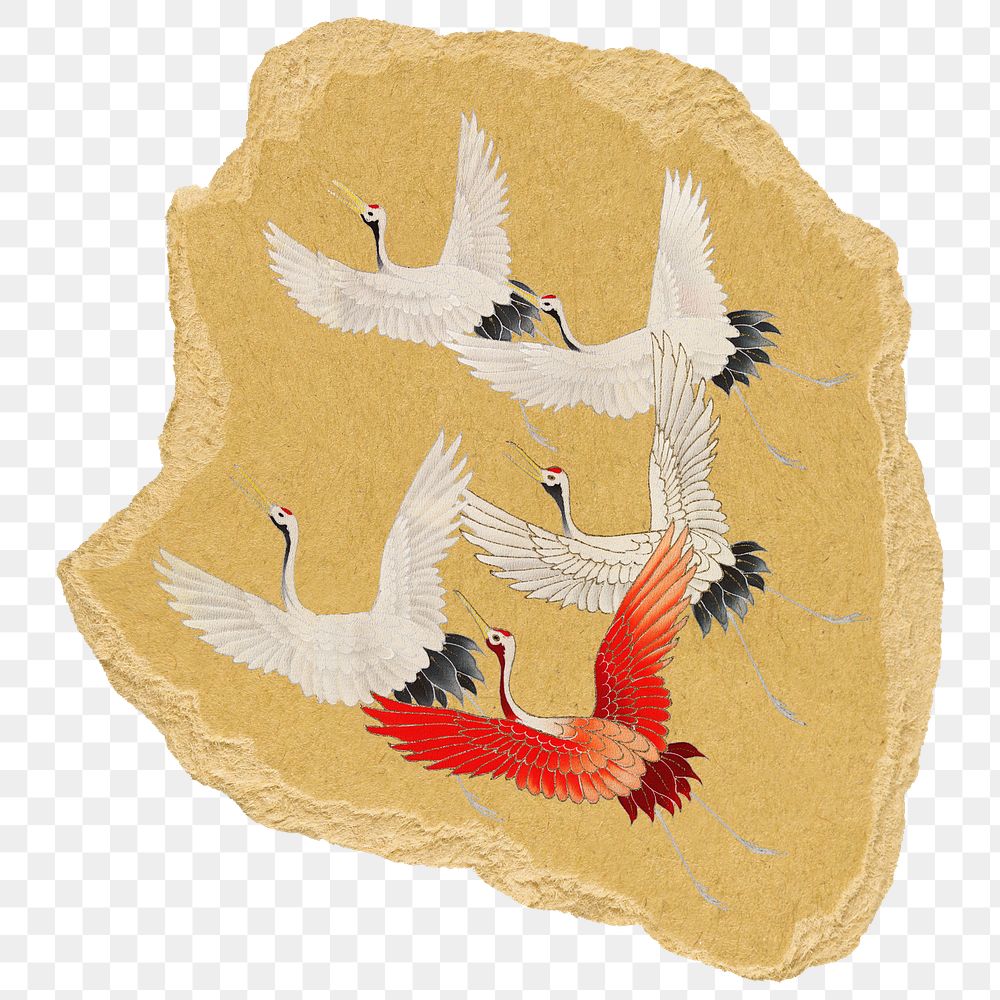 Png flying cranes sticker, vintage illustration on ripped paper, transparent background