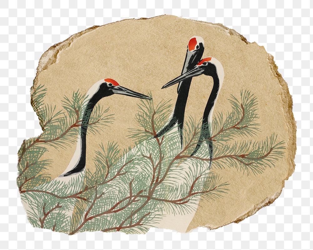 Png Kamisaka Sekka's cranes sticker, bird vintage illustration on ripped paper, transparent background