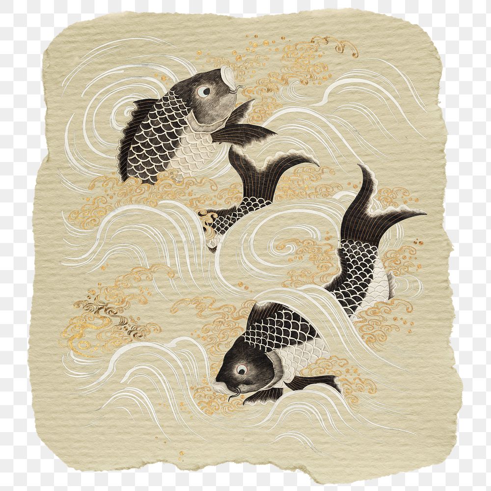Png Japanese fish sticker, vintage illustration on ripped paper, transparent background