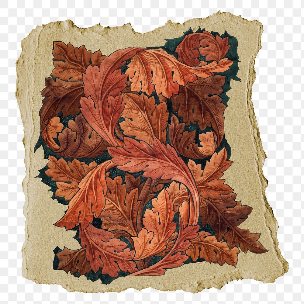 Png William Morris's acanthus sticker, vintage illustration on ripped paper, transparent background