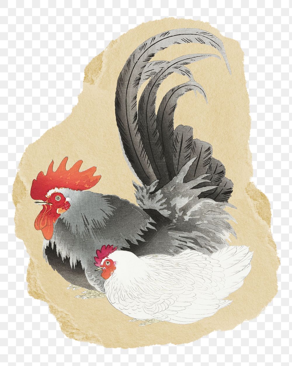 Png Ohara Koson's chicken sticker, vintage illustration on ripped paper, transparent background