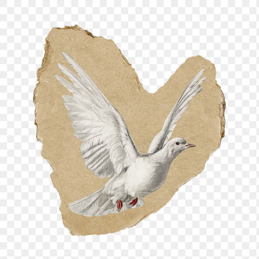 Png flying bird sticker,  vintage illustration on ripped paper, transparent background