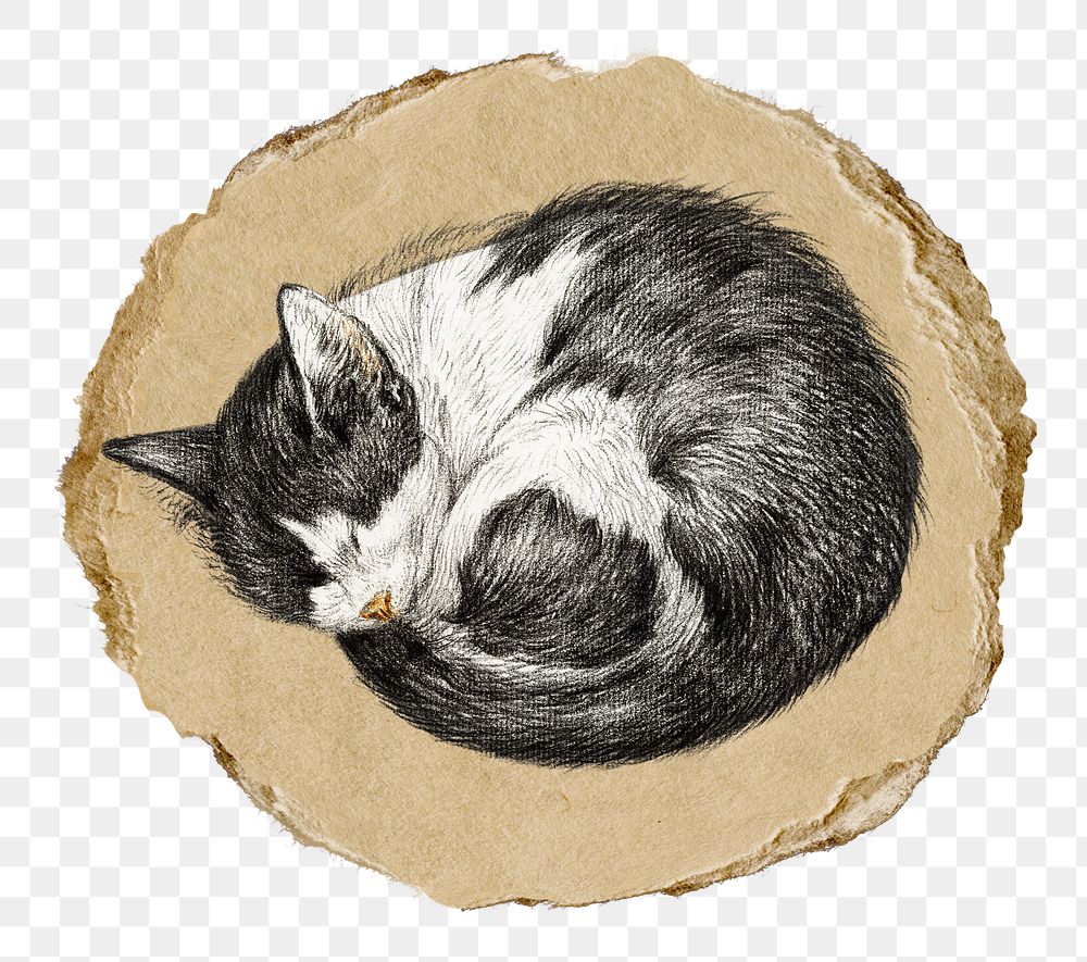 Png sleeping cat sticker, Jean Bernard's vintage illustration on ripped paper, transparent background