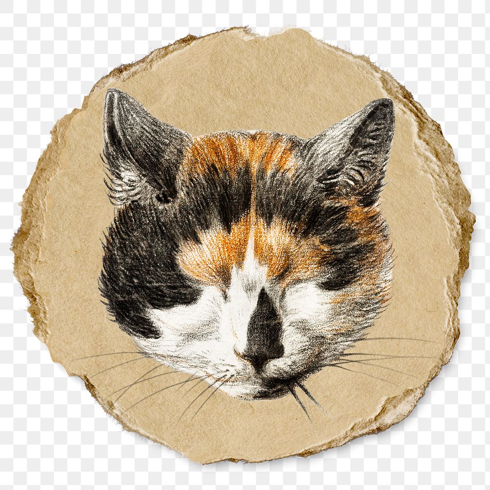 Png cat's head with closed eyes sticker, Jean Bernard's vintage illustration on ripped paper, transparent background