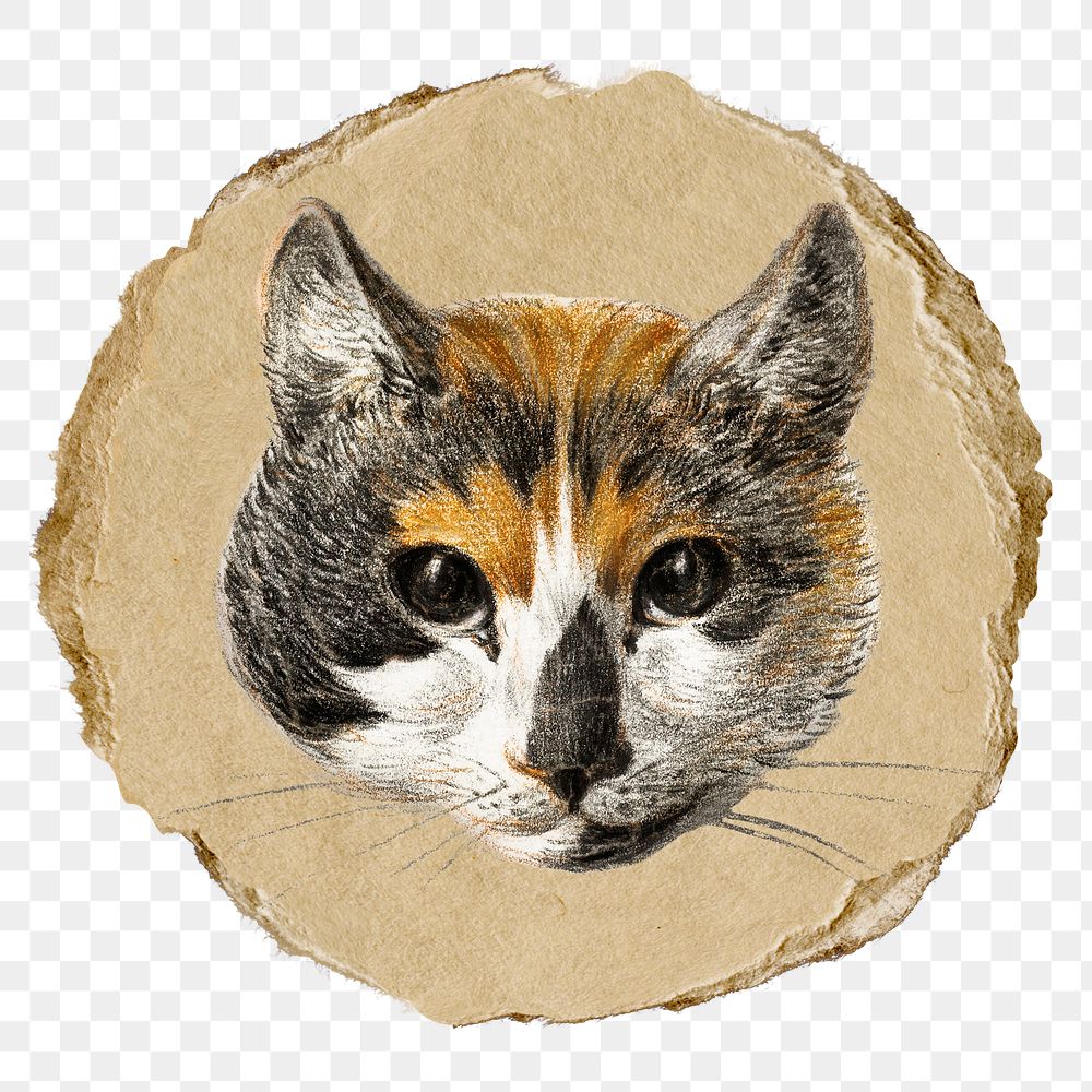 Png cat's head sticker, Jean Bernard's vintage illustration on ripped paper, transparent background