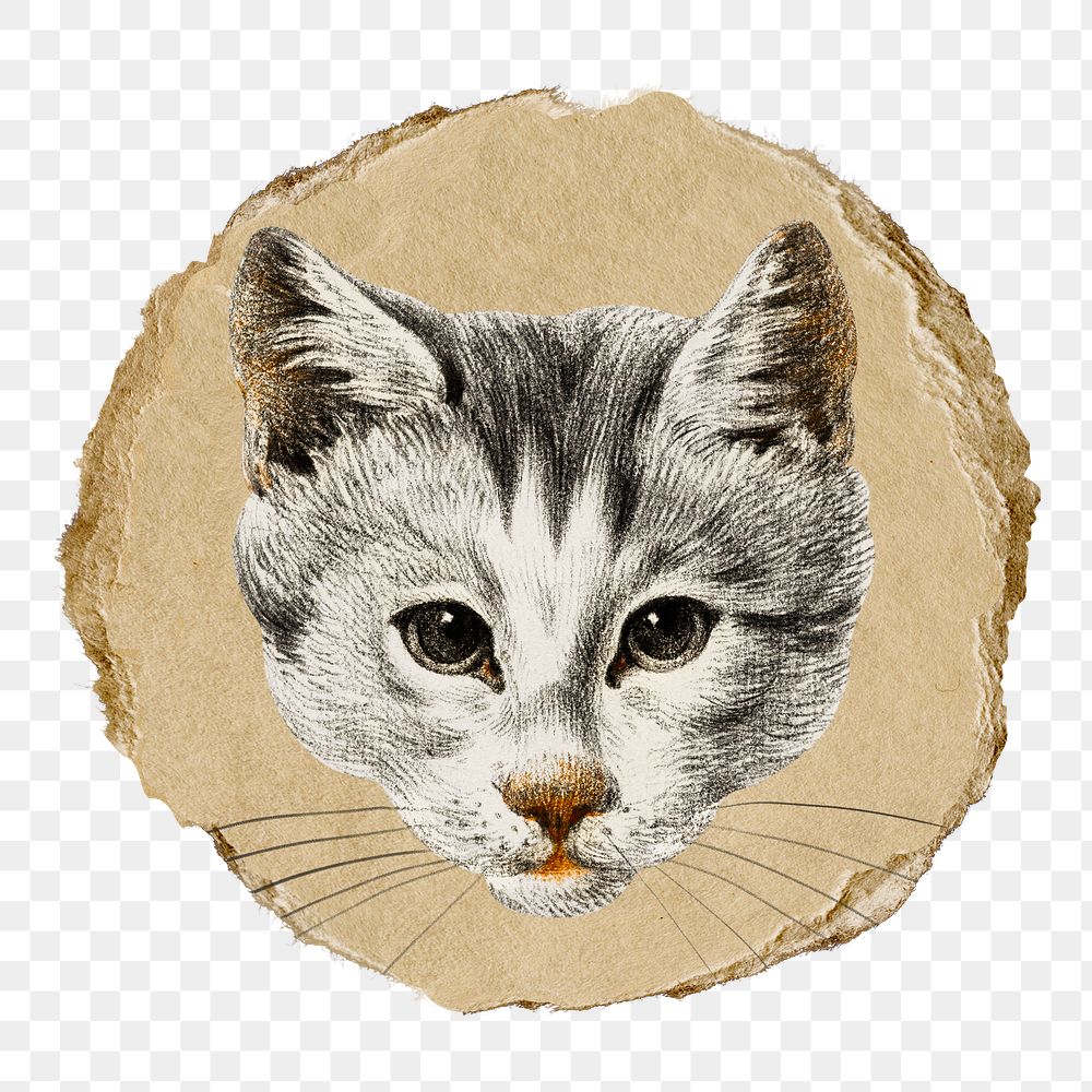 Png cat's head sticker, Jean Bernard's vintage illustration on ripped paper, transparent background