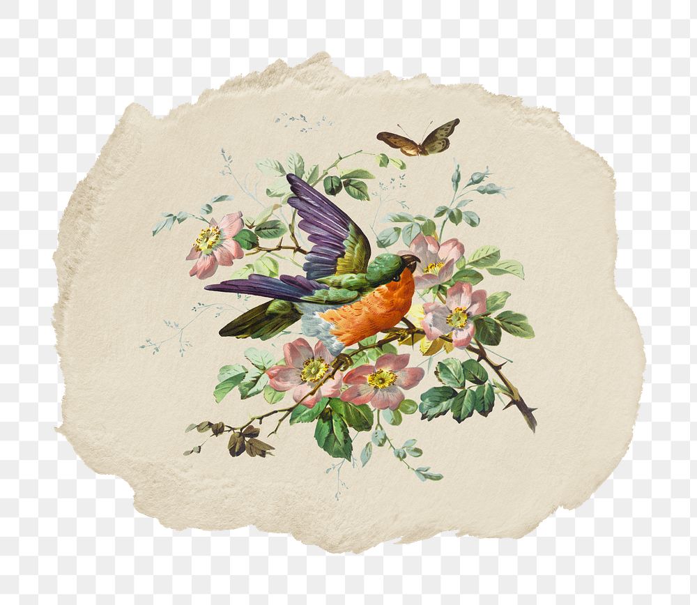 Png birds and flowers sticker, vintage illustration on ripped paper, transparent background