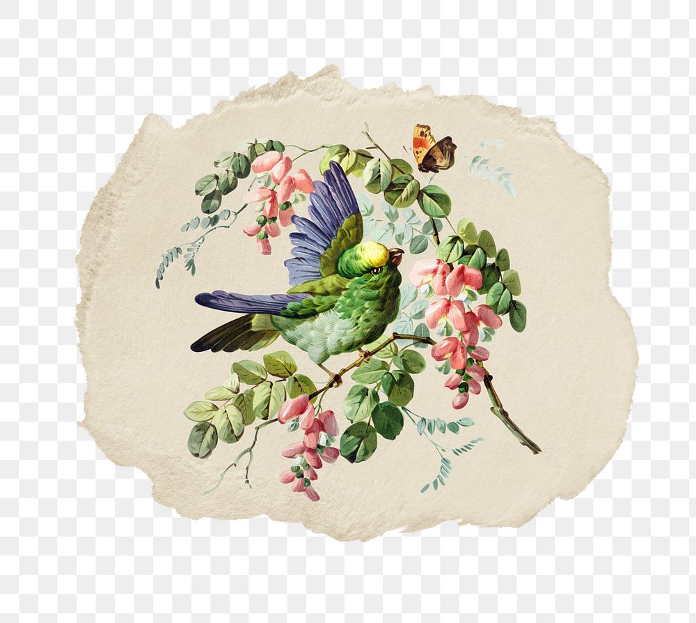 Png birds and flowers sticker, vintage illustration on ripped paper, transparent background