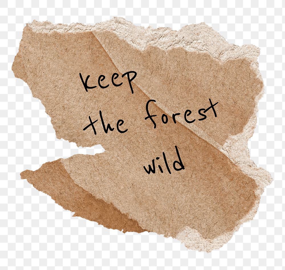 Deforestation png quote, DIY torn paper craft clipart, keep the forest wild, transparent background