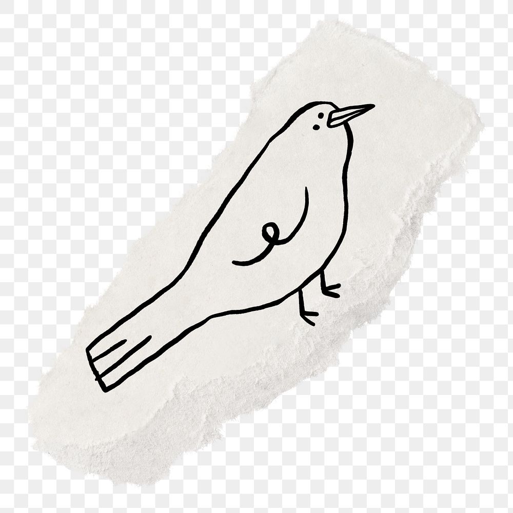 Cute bird png sticker, ripped paper doodle, transparent background