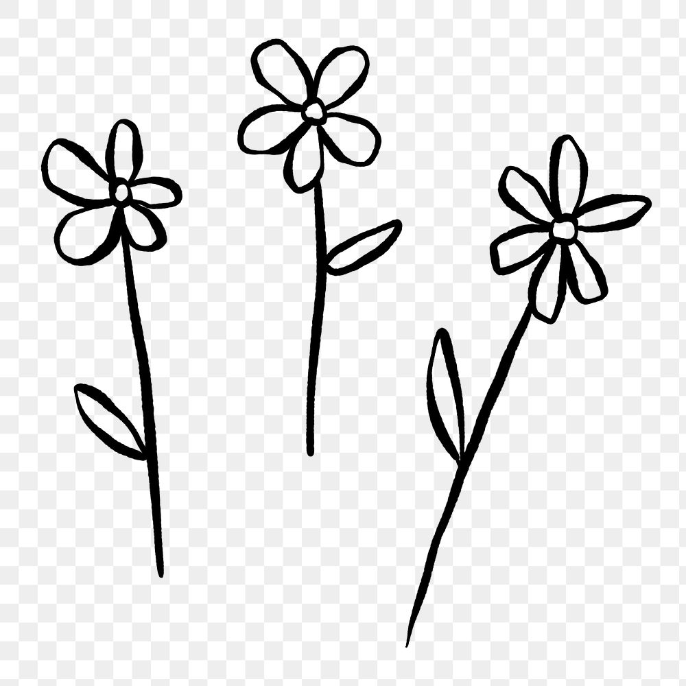 Flower png doodle, cute illustration, transparent background