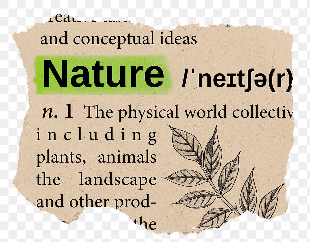 Nature png dictionary word sticker, Ephemera typography, transparent background