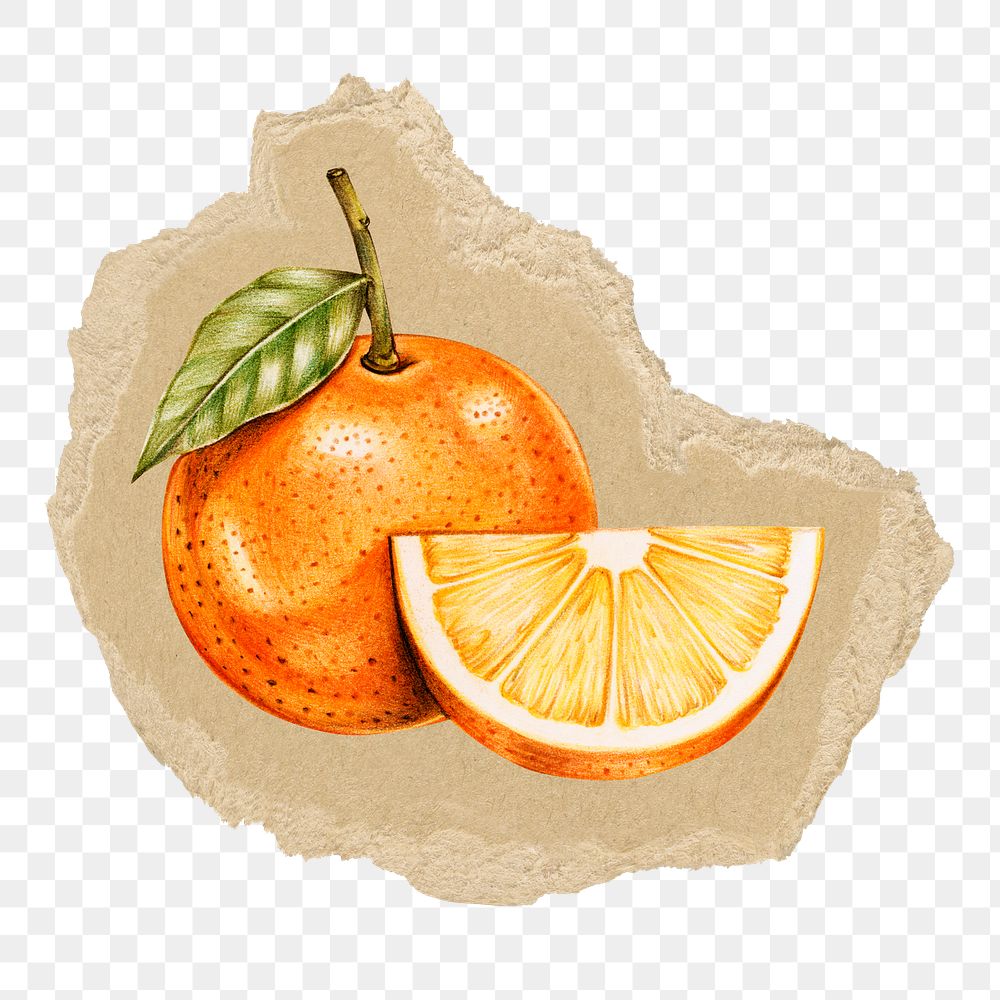 Orange fruit png sticker, ripped paper, transparent background