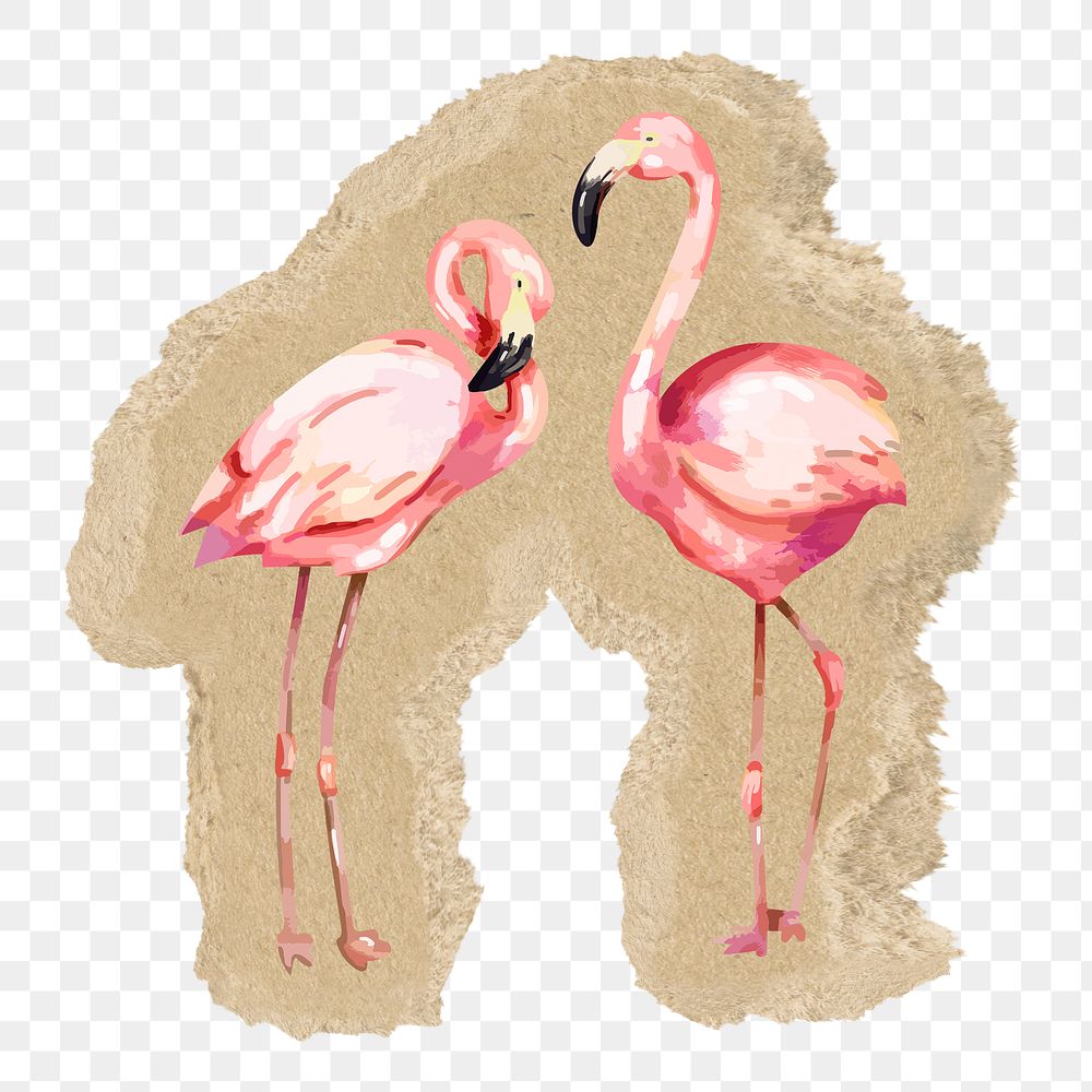 Flamingo birds png sticker, ripped paper, transparent background