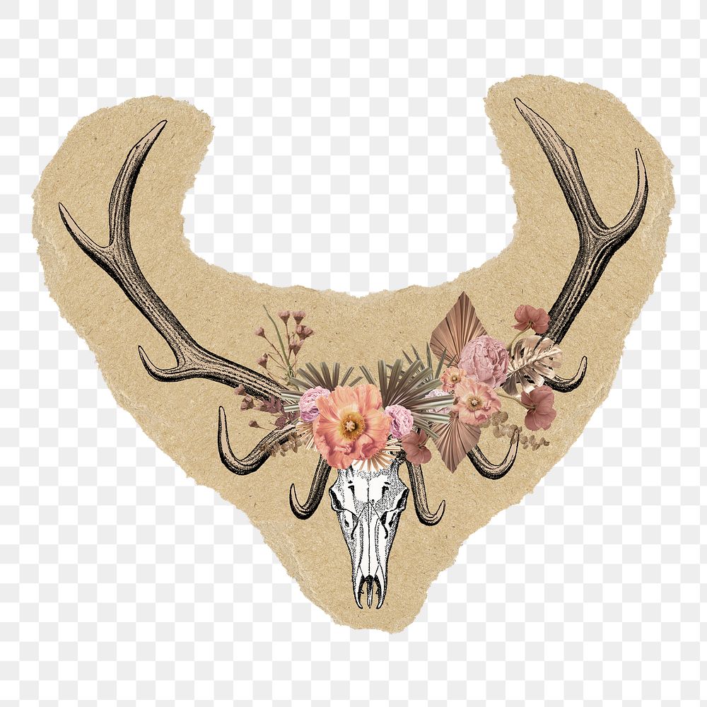 Floral stag skull png sticker, ripped paper, transparent background