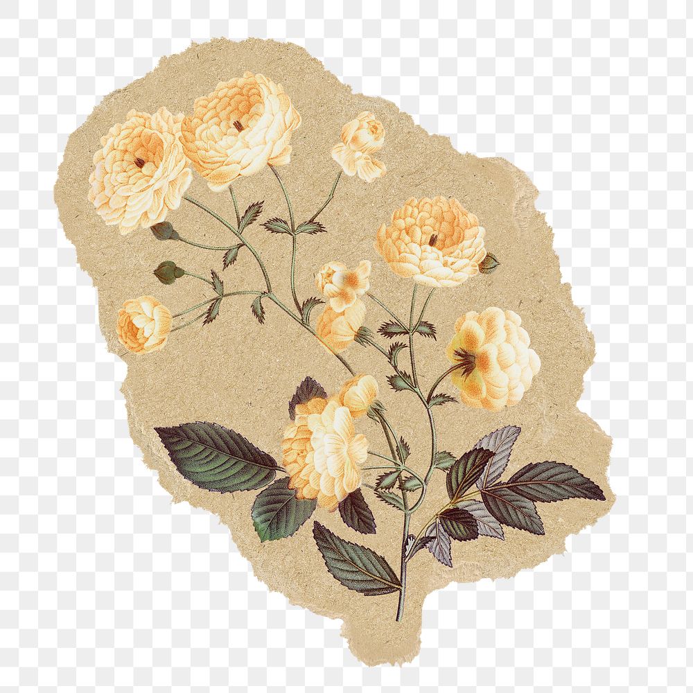 Vintage flowers png sticker, ripped paper, transparent background