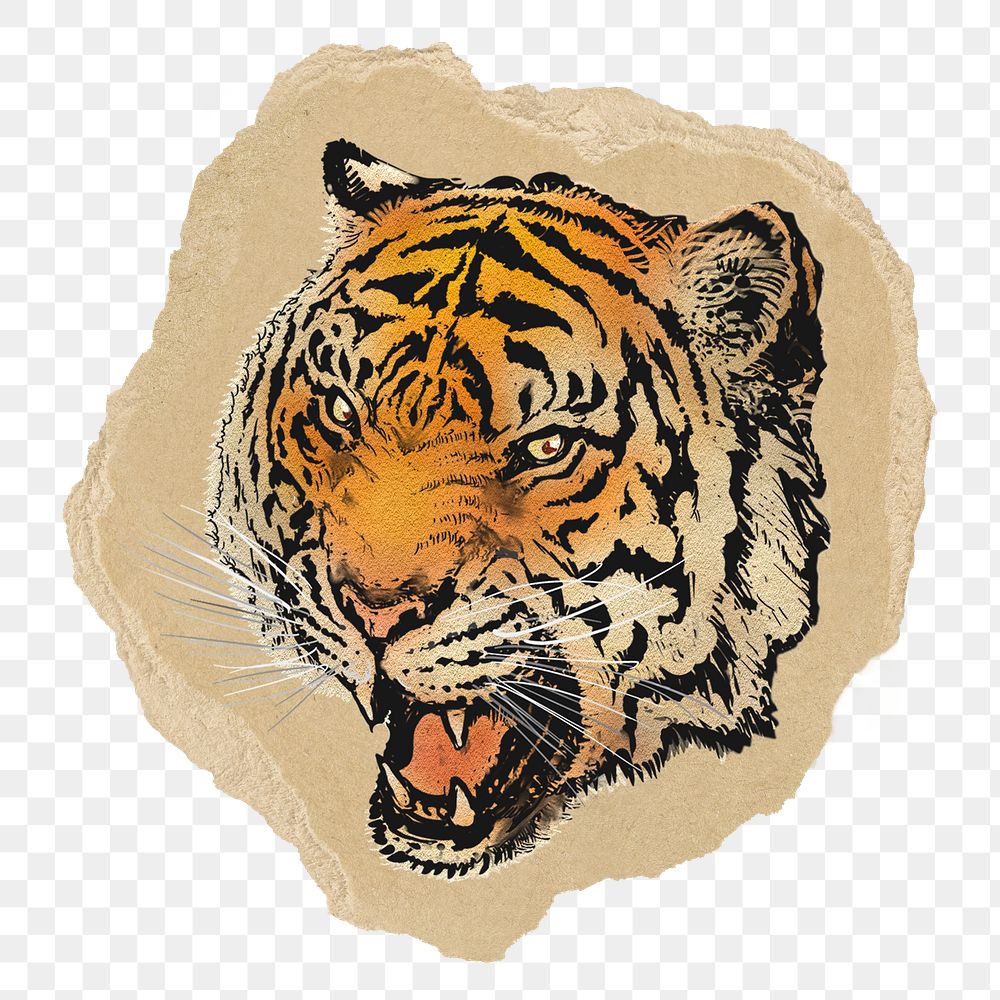 Roaring tiger png sticker, ripped paper, transparent background
