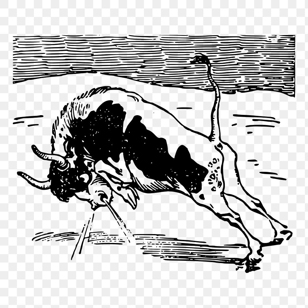 Bull png sticker, vintage animal illustration, transparent background. Free public domain CC0 image.
