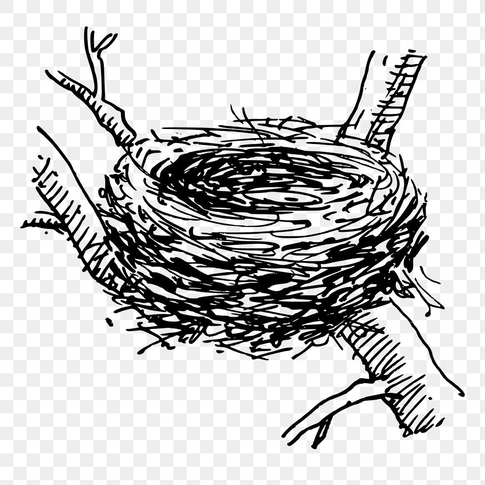 Bird's nest png sticker illustration, transparent background. Free public domain CC0 image.
