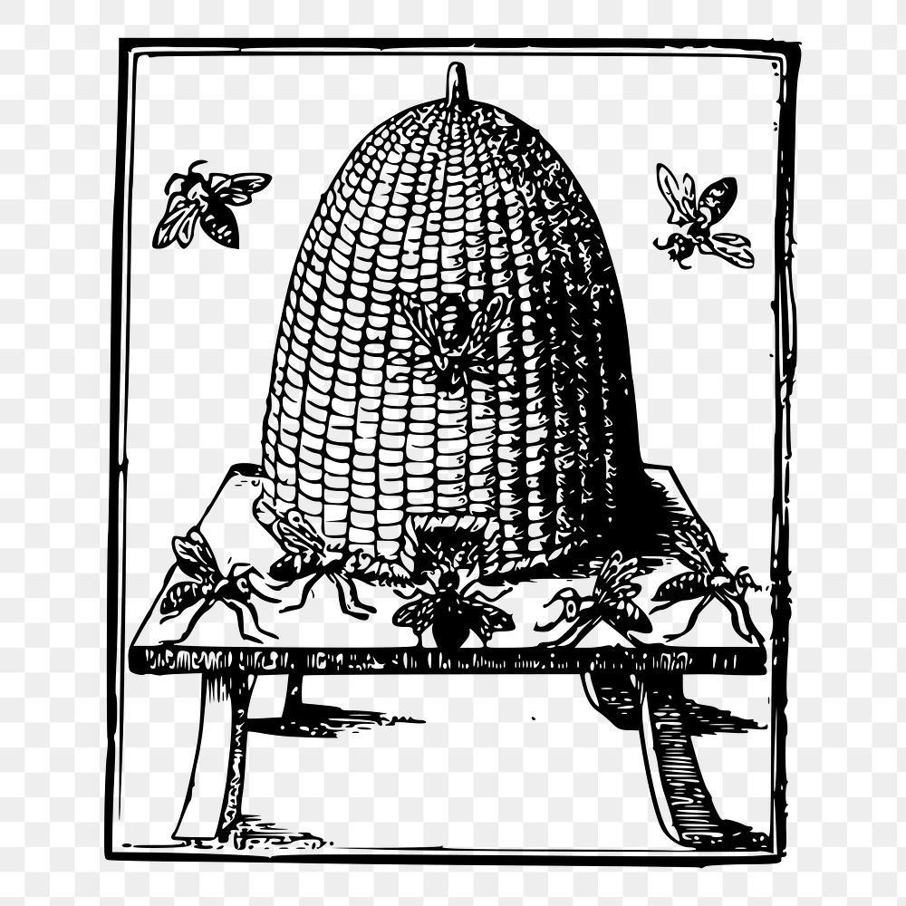 Beehive png sticker illustration, transparent background. Free public domain CC0 image.
