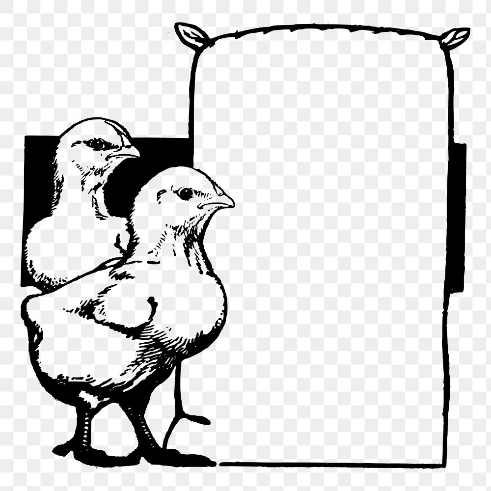 Chicken frame png sticker illustration, transparent background. Free public domain CC0 image.