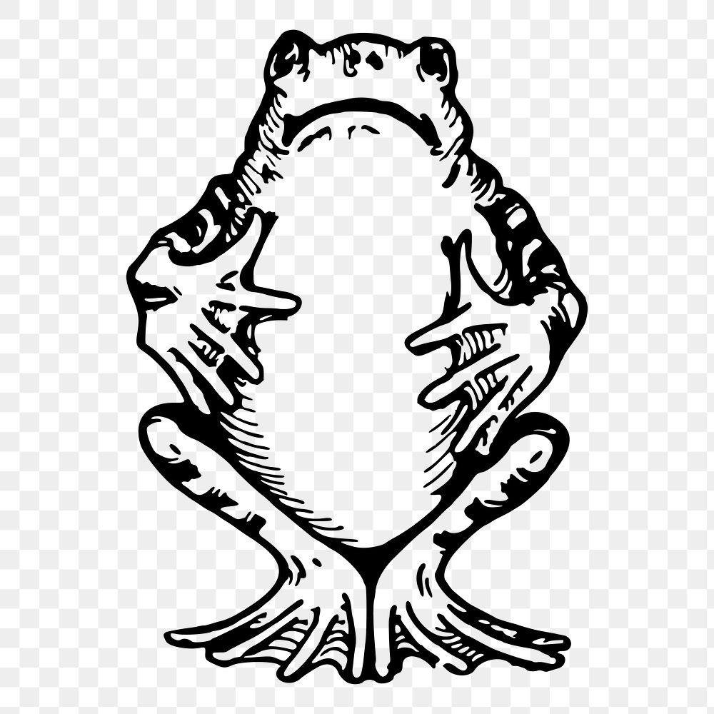 Frog animal png sticker illustration, transparent background. Free public domain CC0 image.