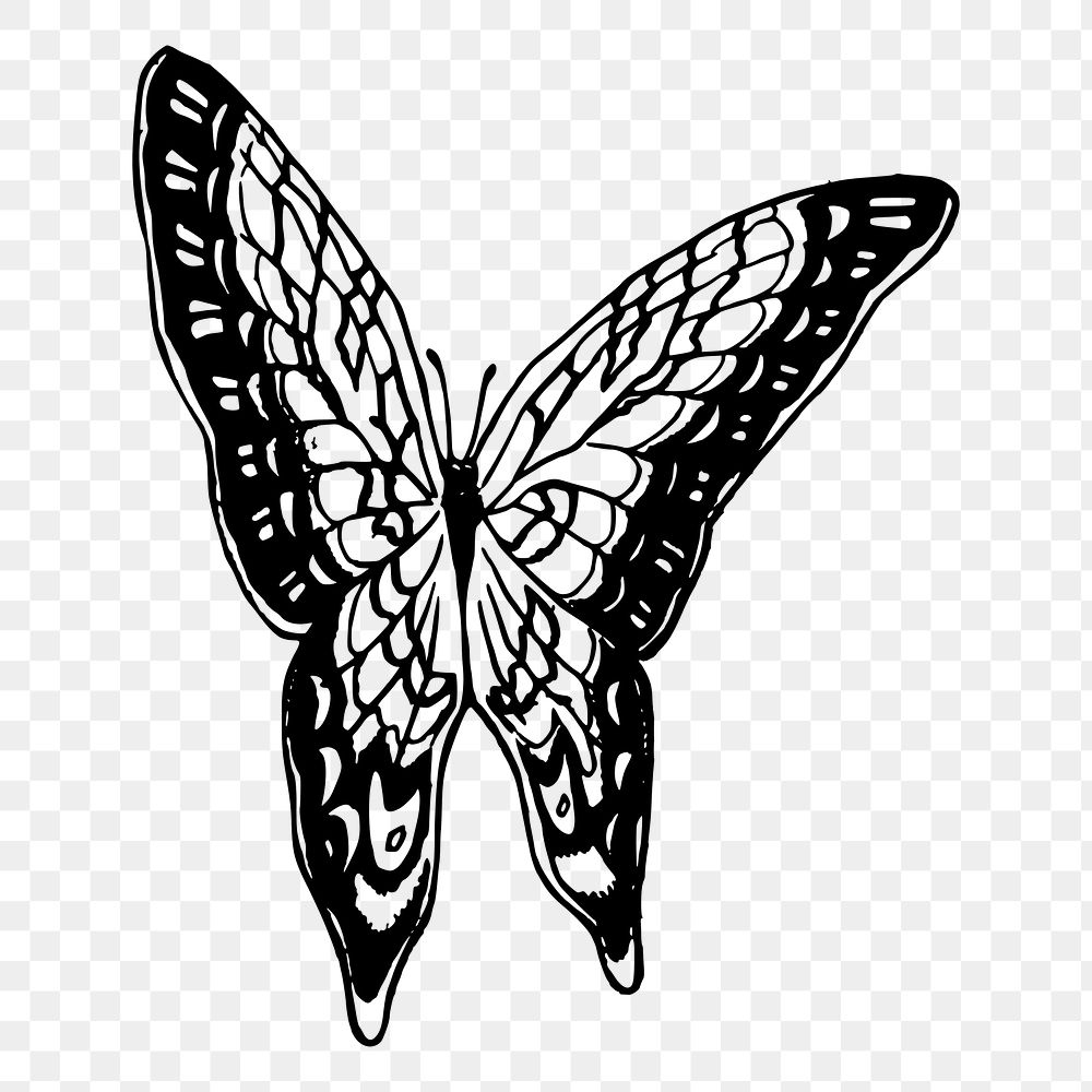 Butterfly png sticker illustration, transparent background. Free public domain CC0 image.